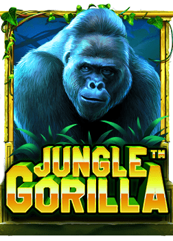 วิเคราะห์ หลังเกม ไทย: ความมันส์สล็อตไทยกับค่าย Jili